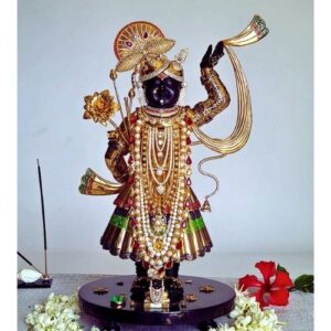 Ornamental Shrinath (Large)